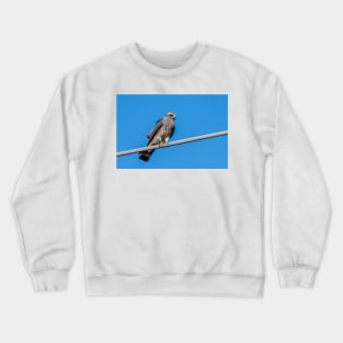 Mississippi Kite Juvenile All Alone Crewneck Sweatshirt